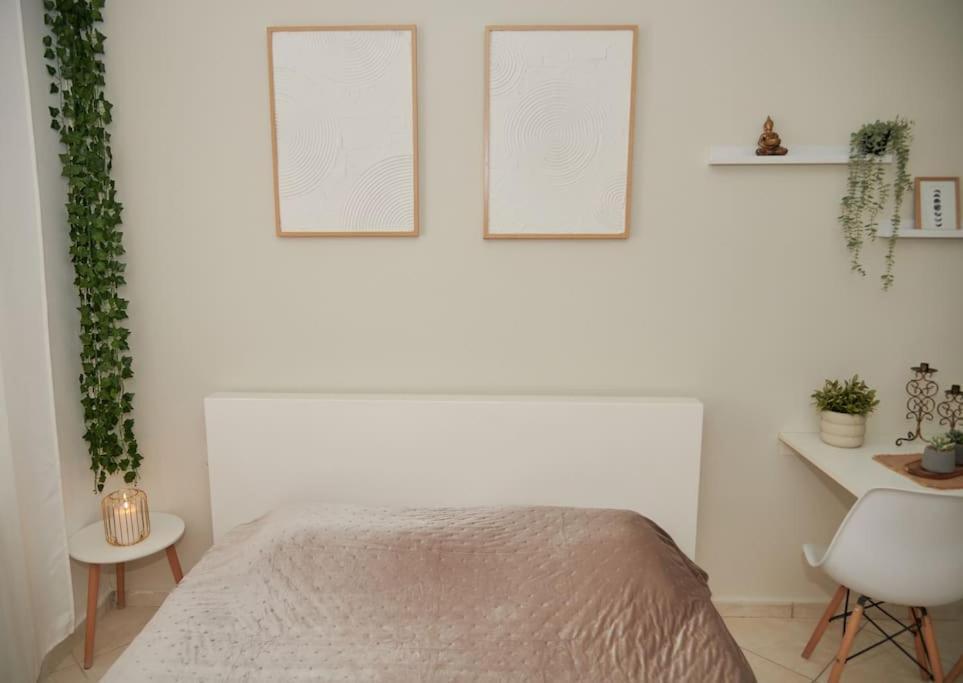 Florina Modern Studio Zewnętrze zdjęcie