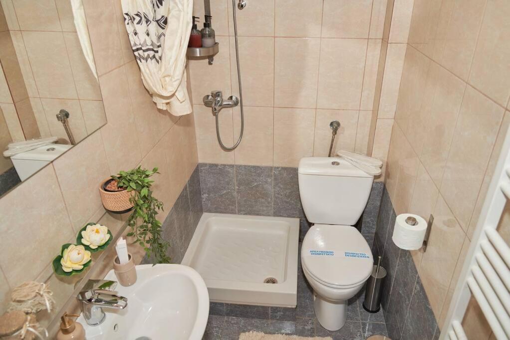 Florina Modern Studio Zewnętrze zdjęcie